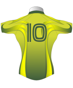 Bespoke Rugby Tour Shirt TRS 303 Back - Badger Rugby