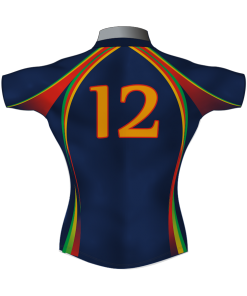 Classic Bespoke Rugby Shirt TMS 495 Back - Badger Rugby