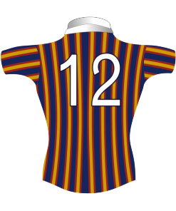 Funny Personalised Rugby Tour Shirt TRS 579 Back - Badger Rugby