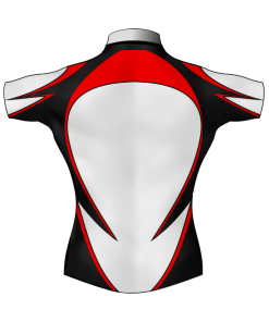 Stylish Personalised Rugby Shirt TMS 588 Back - Badger Rugby