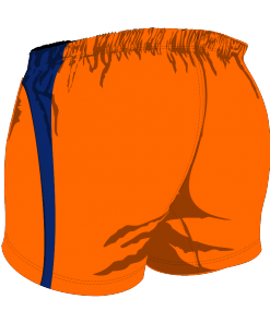 Custom, Bespoke Rugby Short Design 277 Back - Badger Rugby