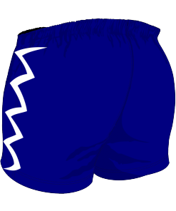 Custom, Bespoke Rugby Short Design 406 Back - Badger Rugby