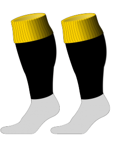 Custom, Bespoke Rugby Sock Design 235 - Badger Rugby