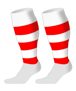 Custom, Bespoke Rugby Sock Design 237 - Badger Rugby